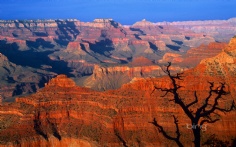 GrandCanyon1920x12003-13-2012 2_33_51 PM Bing Desktop